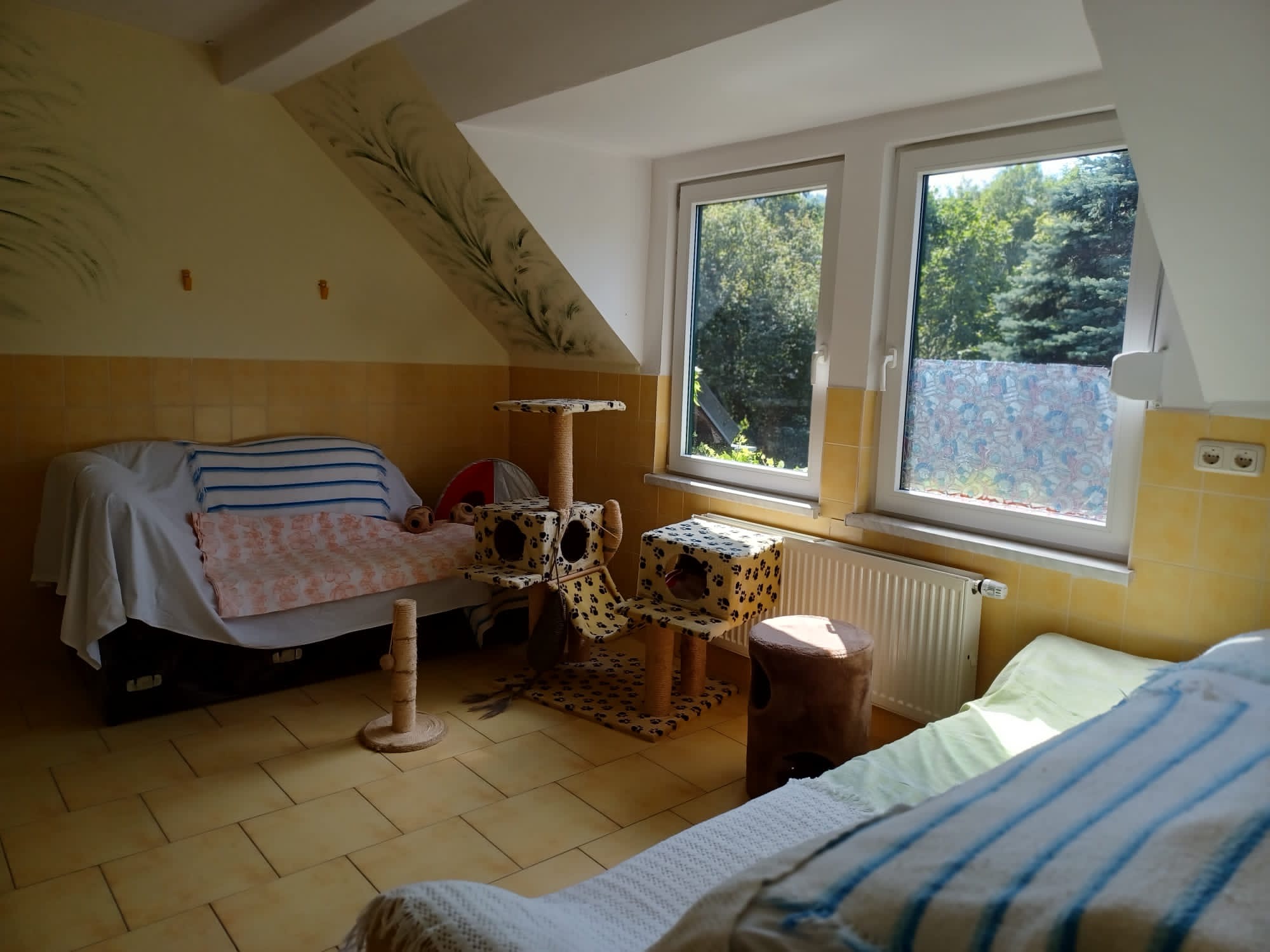 Katzenzimmer2
