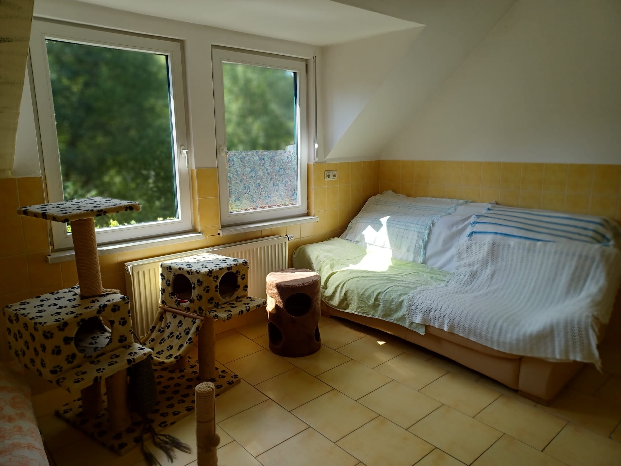 Katzenzimmer4