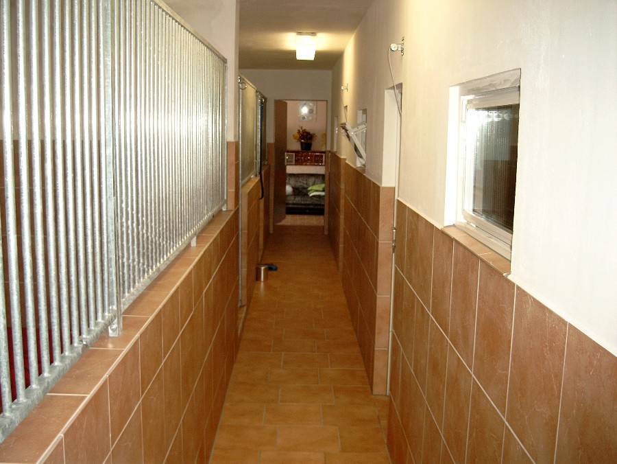 Hundezimmer4